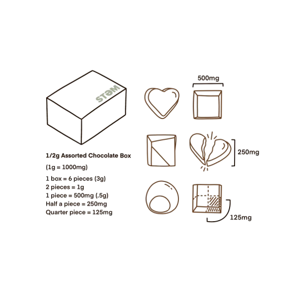 Stem 1/2 Gram Mushroom Chocolate Box