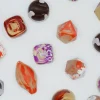 STEM MICRODOSE BON BON CHOCOLATE