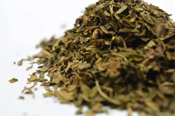 Psilocybin Mushroom Peppermint Tea