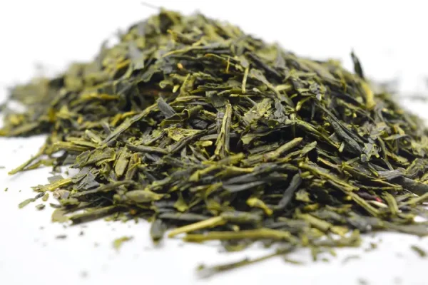 Psilocybin Mushroom Sencha Fujiama Green Tea