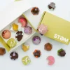 Stem Premium Assorted Mushroom Chocolate Box