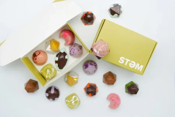 Stem Premium Assorted Mushroom Chocolate Box
