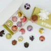 Stem Premium Assorted Mushroom Chocolate Box