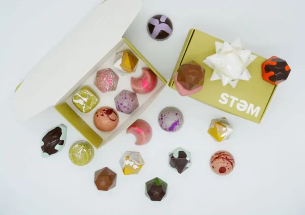Stem Premium Assorted Mushroom Chocolate Box