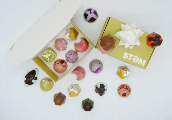 Stem Premium Assorted Mushroom Chocolate Box