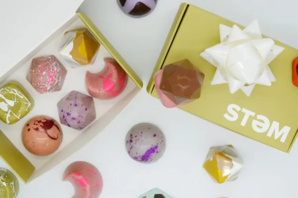 Stem Premium Assorted Mushroom Chocolate Box