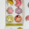 Stem Premium Assorted Mushroom Chocolate Box