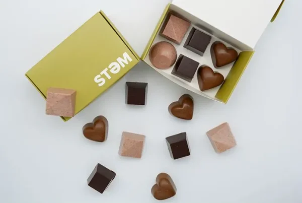 Stem 1/2 Gram Mushroom Chocolate Box