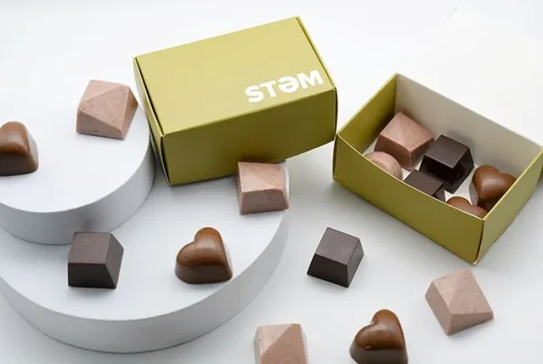 Stem 1/2 Gram Mushroom Chocolate Box