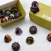 STEM Premium Vegan X Drip Assorted Mushroom Chocolate Box