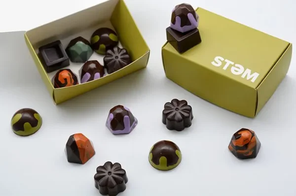 STEM Premium Vegan X Drip Assorted Mushroom Chocolate Box