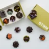 STEM Premium Vegan X Drip Assorted Mushroom Chocolate Box