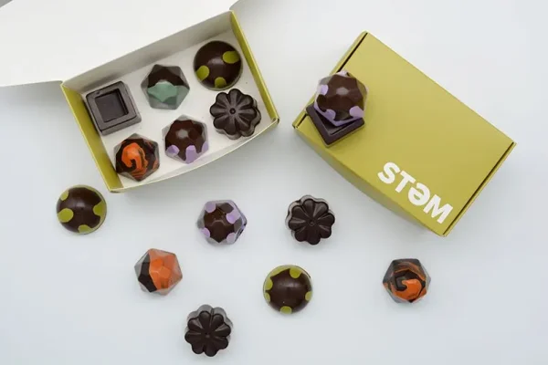 STEM Premium Vegan X Drip Assorted Mushroom Chocolate Box
