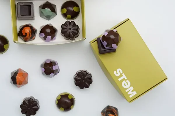 STEM Premium Vegan X Drip Assorted Mushroom Chocolate Box