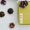 STEM Premium Vegan X Drip Assorted Mushroom Chocolate Box