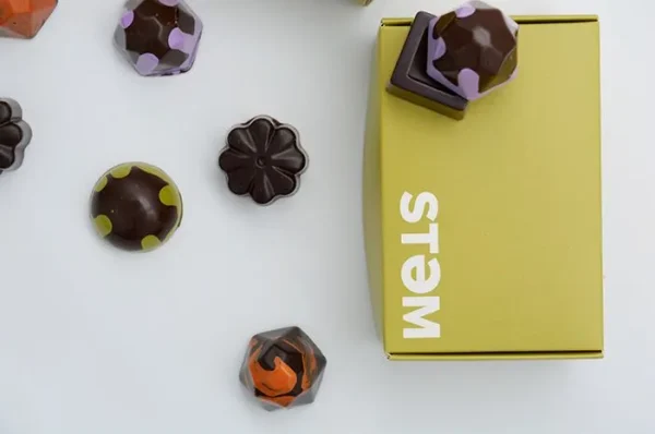 STEM Premium Vegan X Drip Assorted Mushroom Chocolate Box